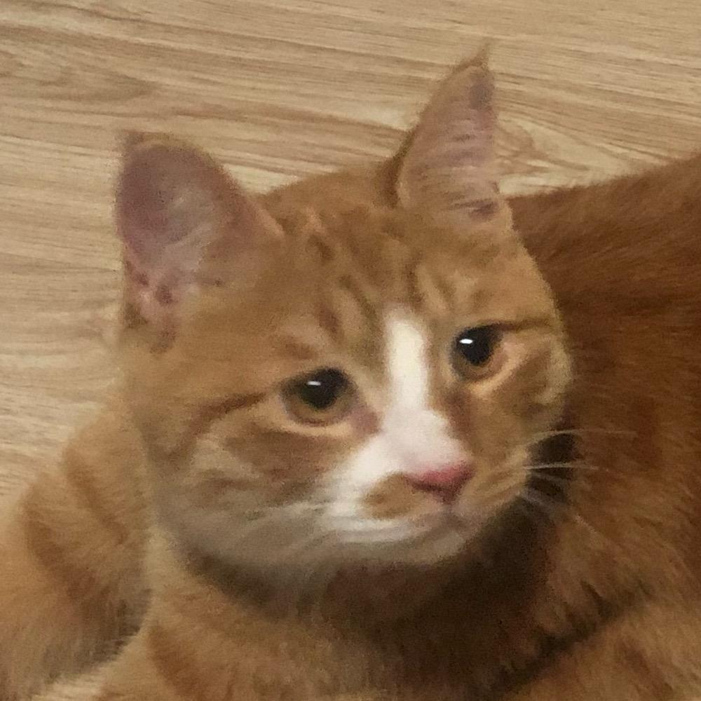 你已经点过赞了