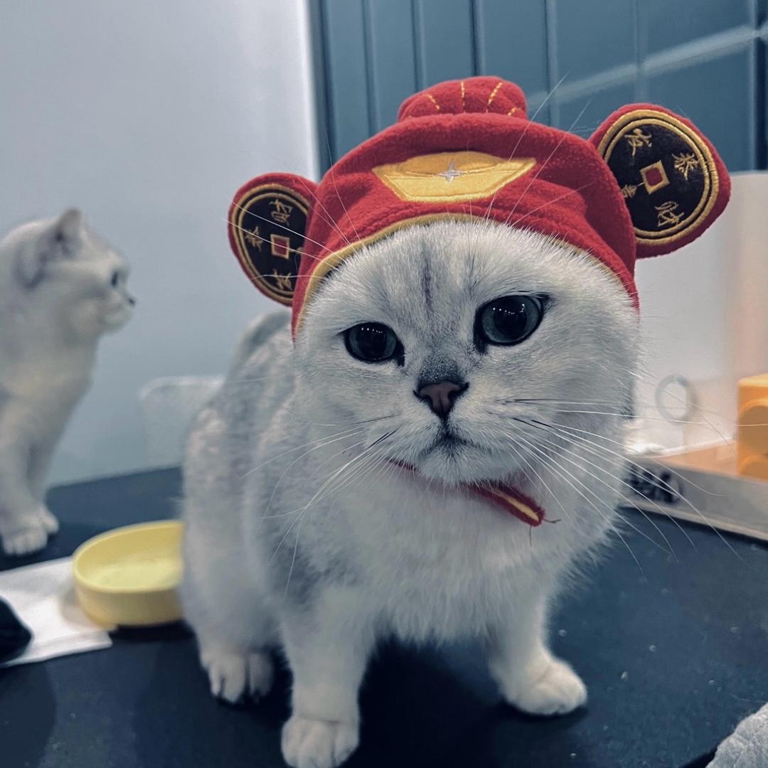 用户