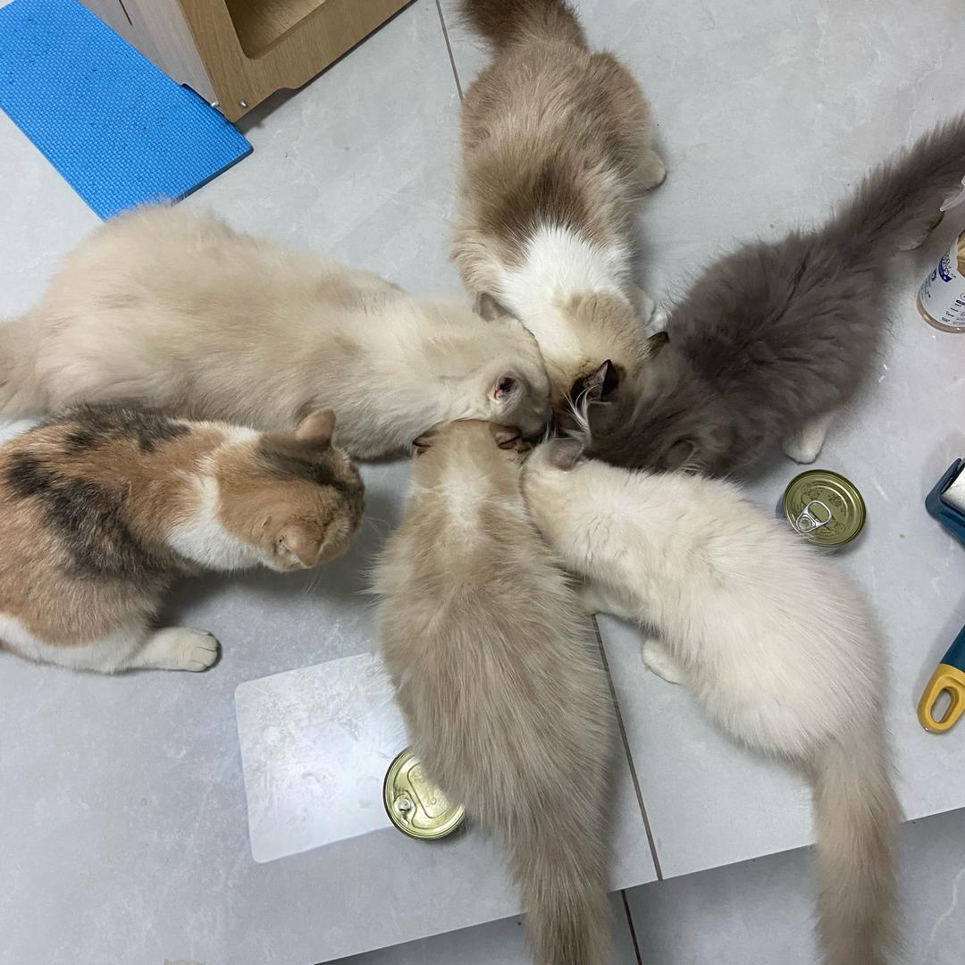 感慨画风