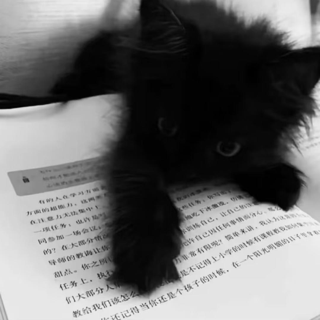 丰小航