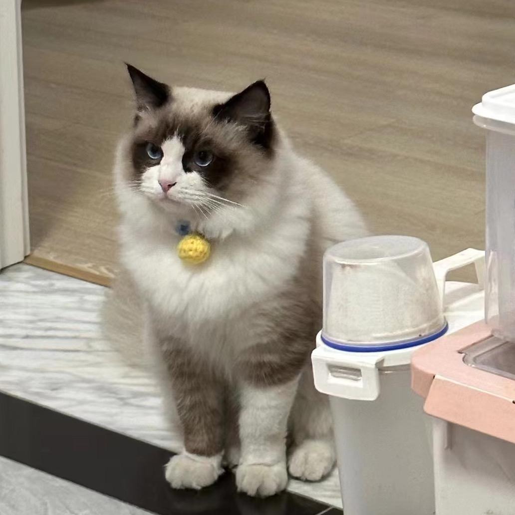 阿May的 📷小铺(购机看主页）