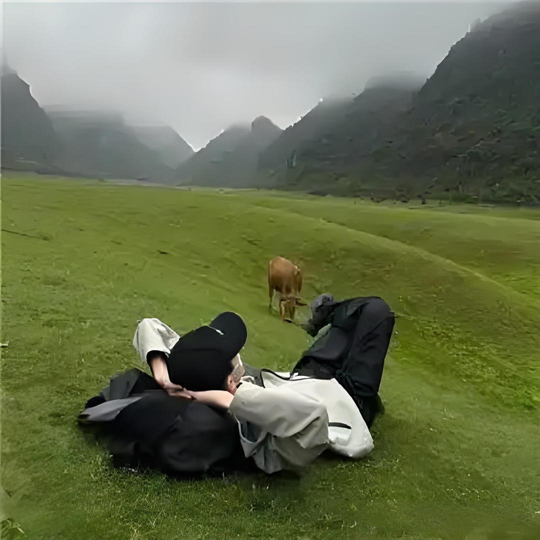 晨东