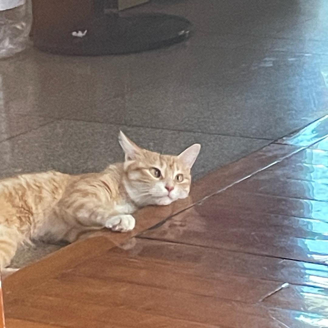 夏天
