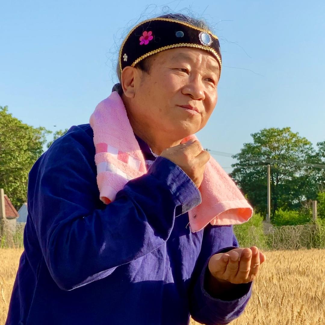 菜乡刘姥姥