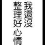 陈词