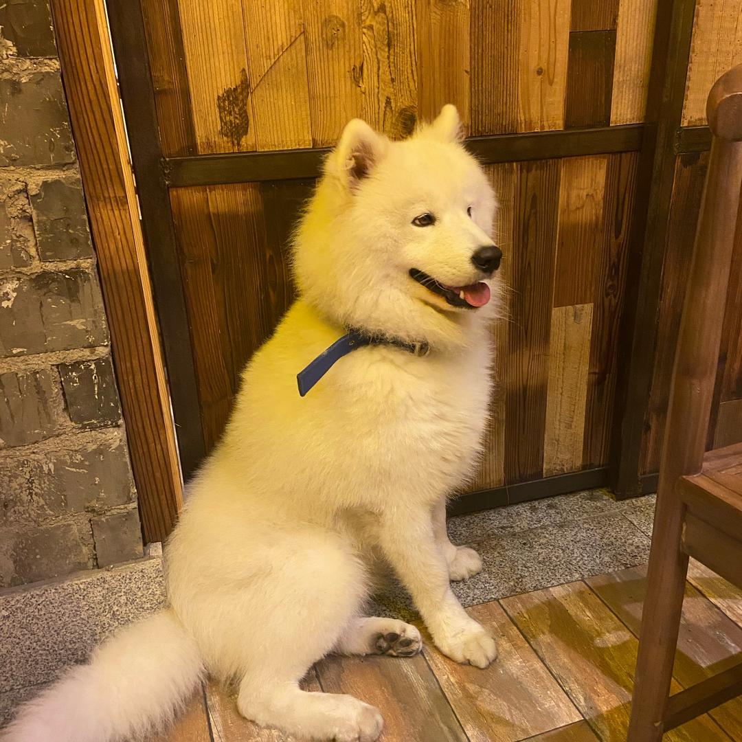小七月