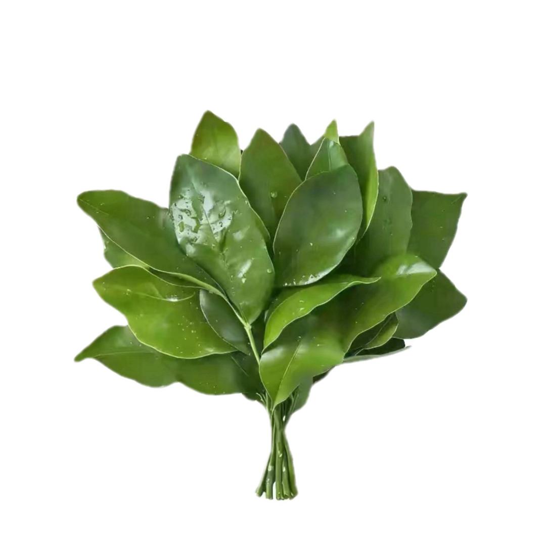 我滴心里有个小朋友