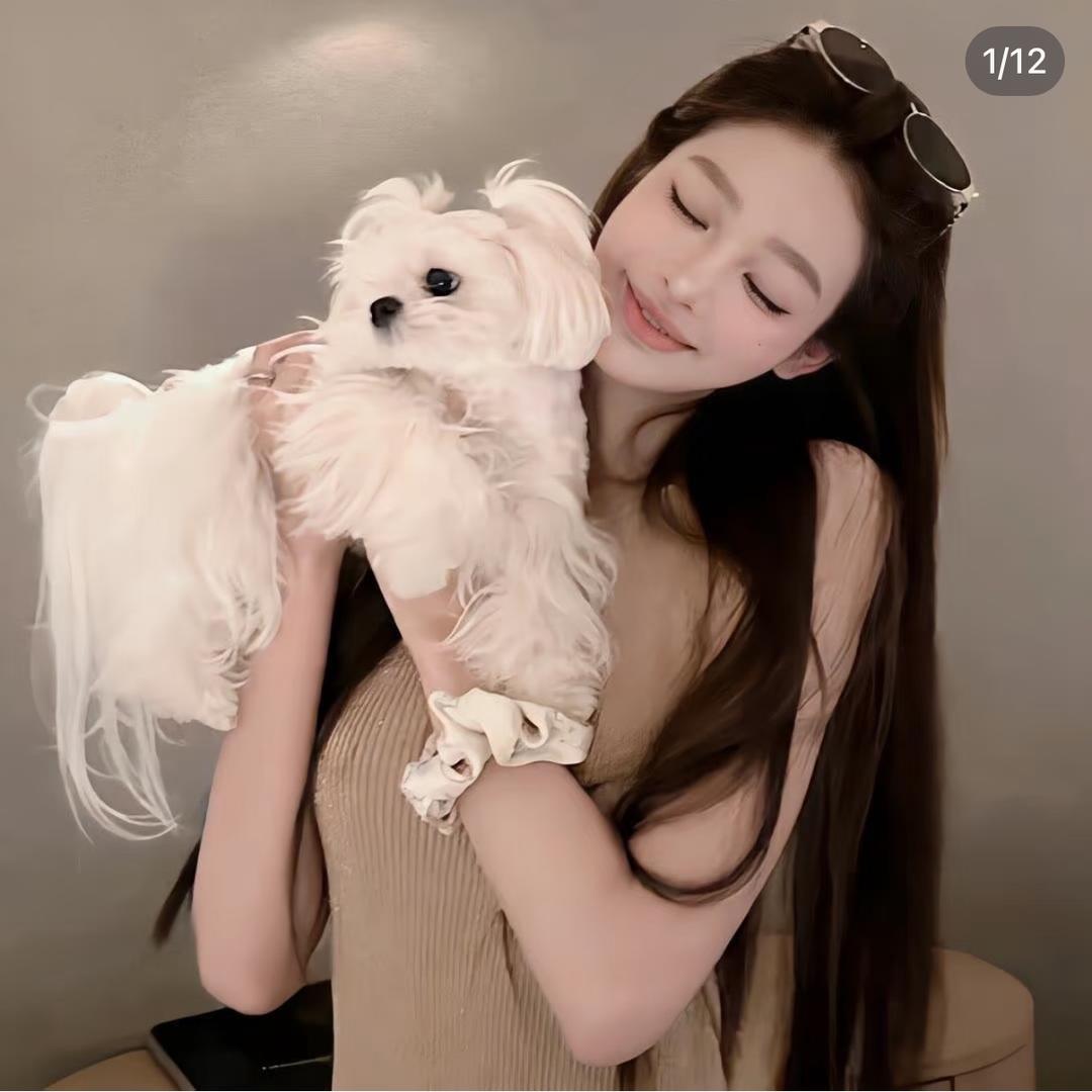 八十天(苏州)网络科技有限公司专用号