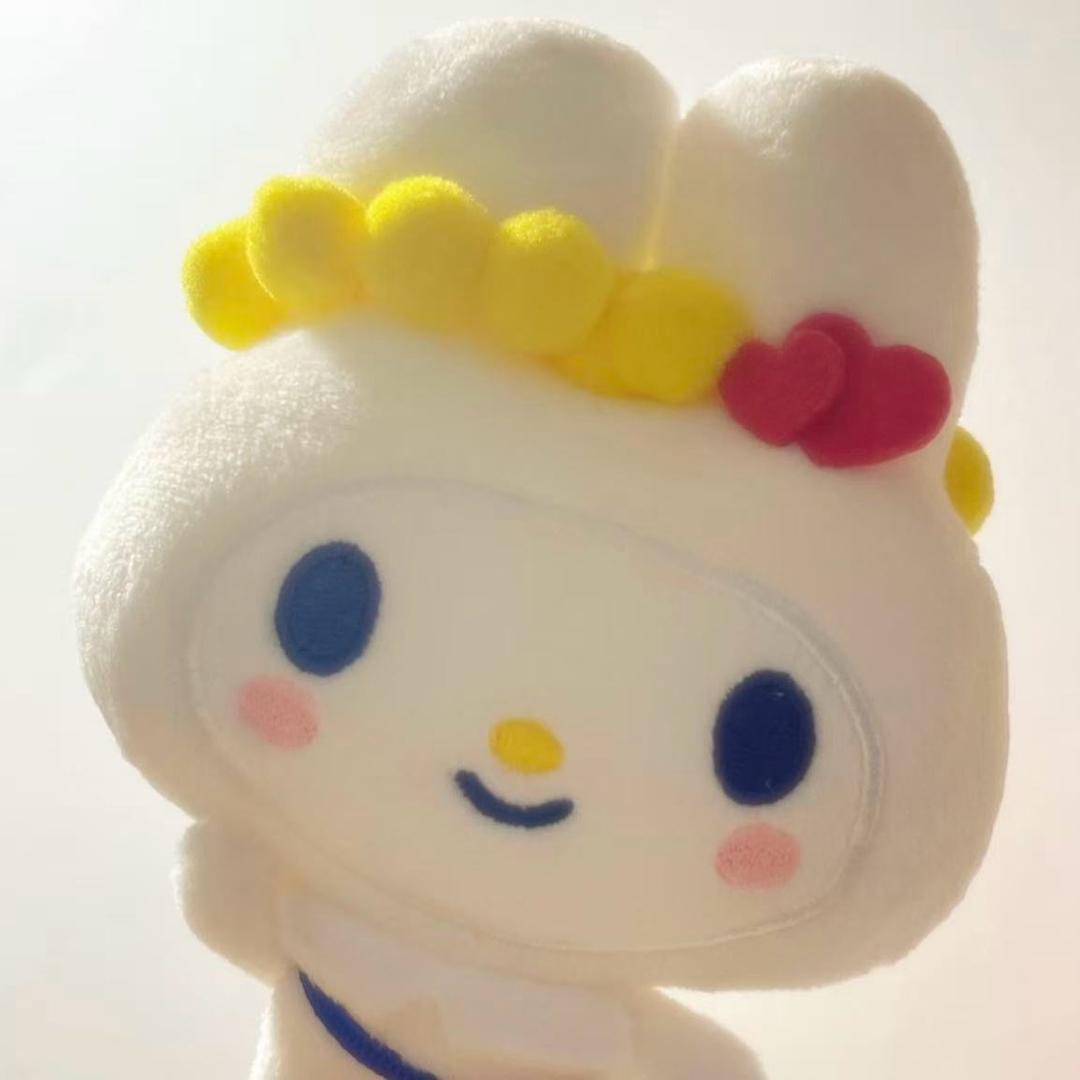 🐰琪琪大王🐸