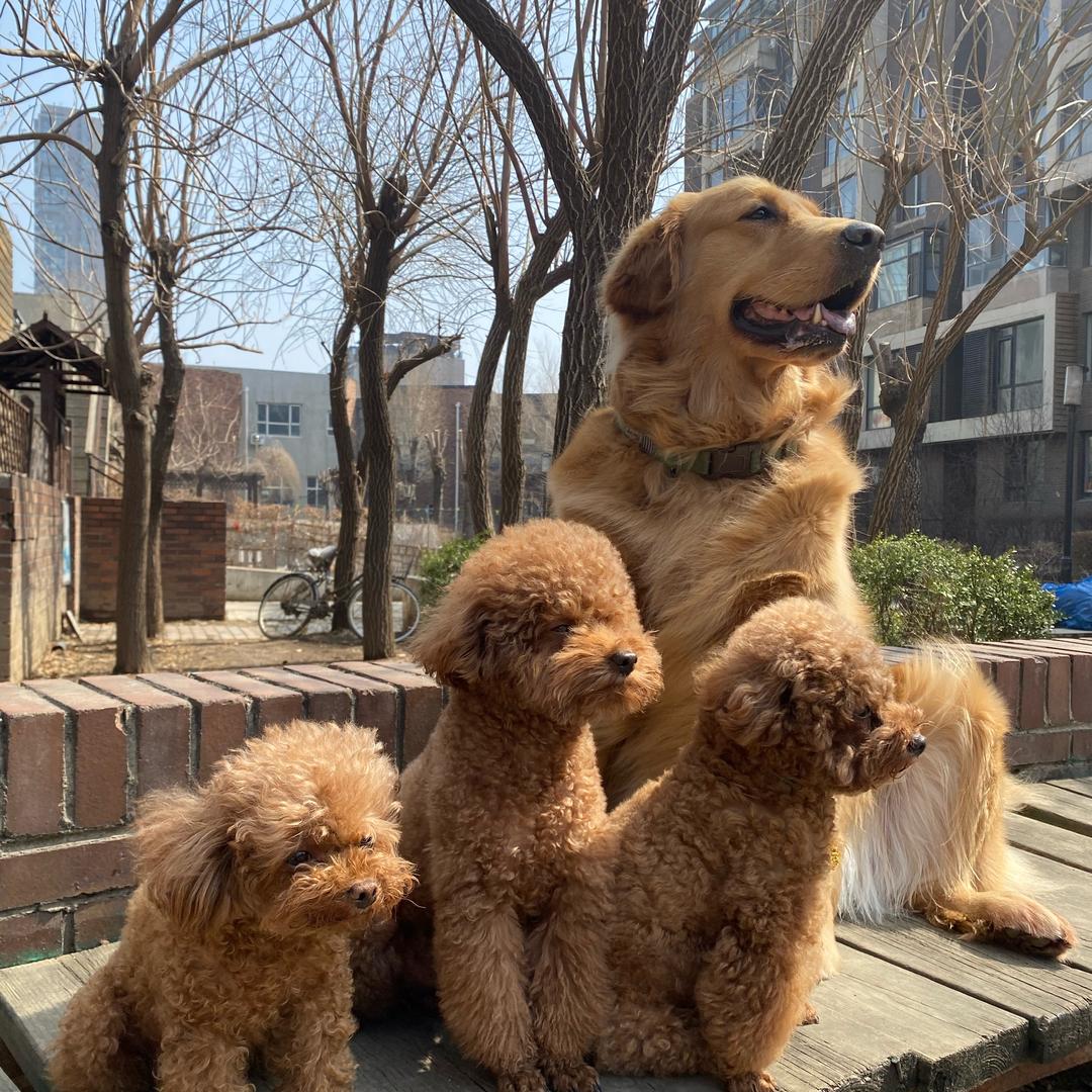 泡叮茜妹小依呀……