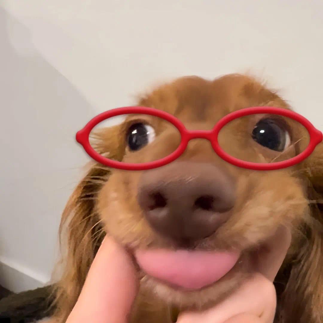 Lll