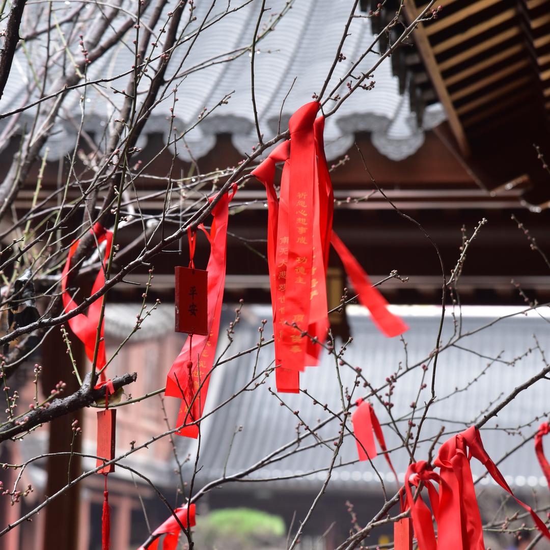 山与城