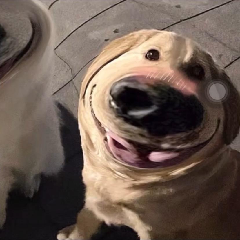 你