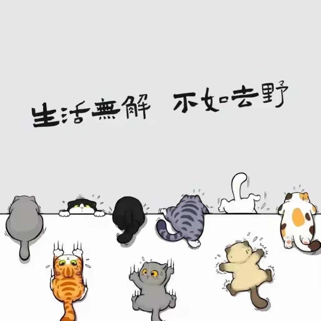 小曦🦎🐢