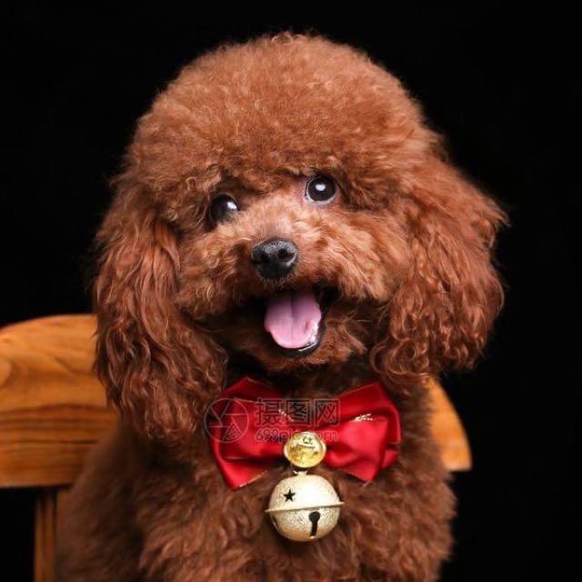 快乐天使爱美丽