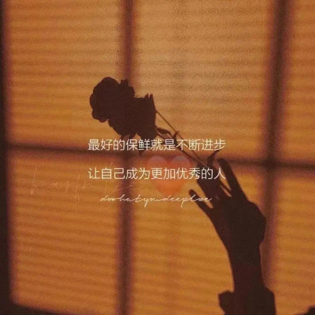 南北·轻奢微胖定制女装