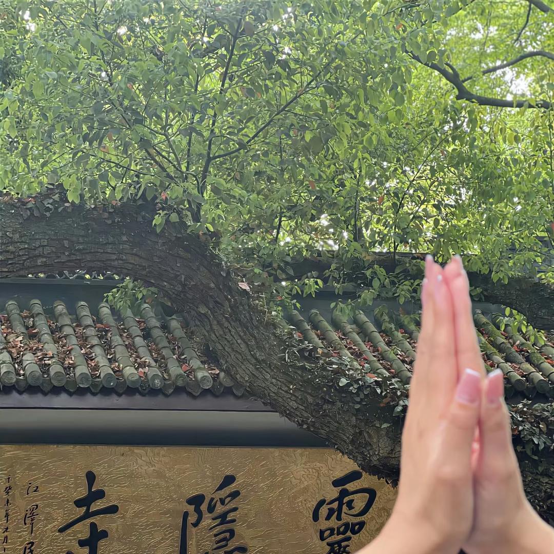 金三顺💕