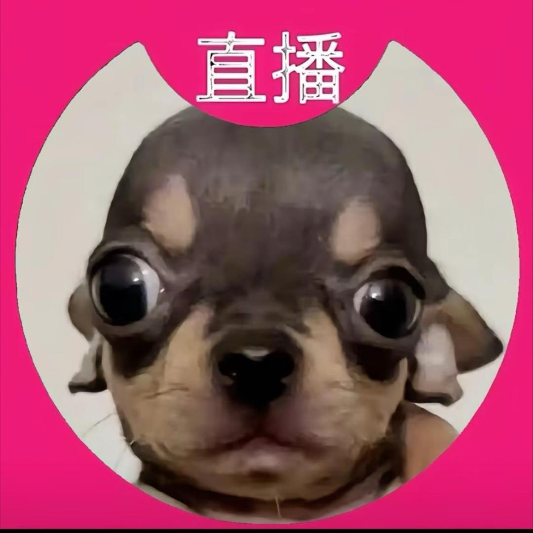因为孤单的总和
