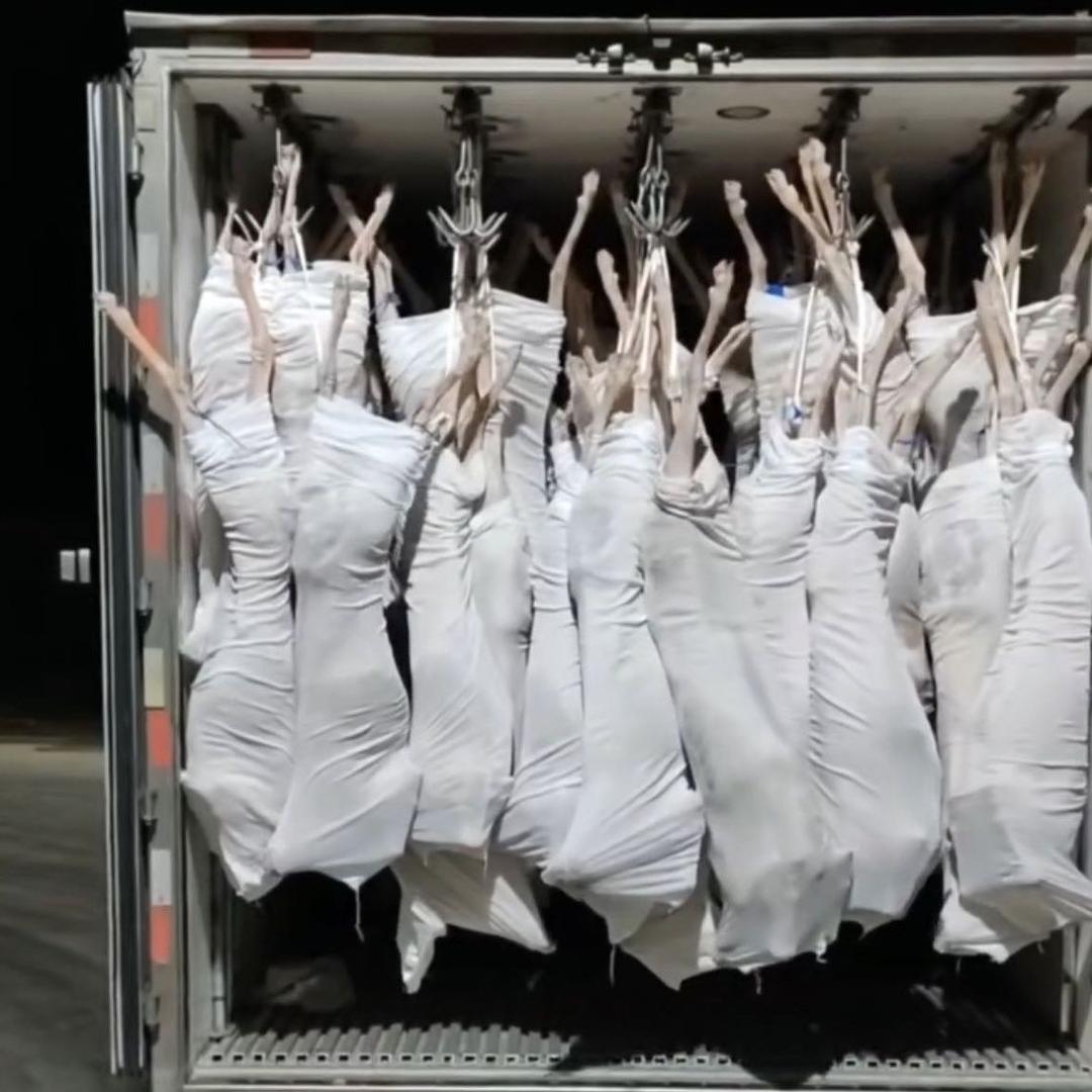 鸿瑞羊胴体布袋工厂