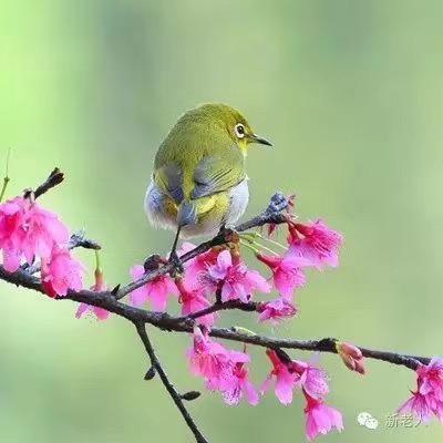 春暖花开2022