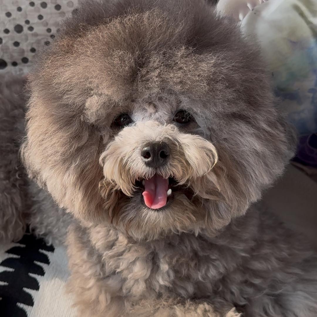 一只兜兜泰迪熊