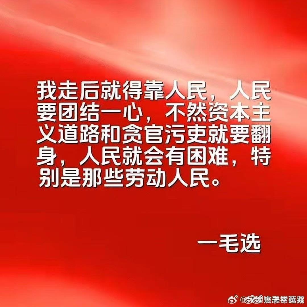罗密欧与猪过夜