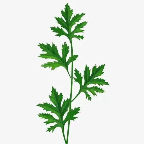 扁草养生馆个体店