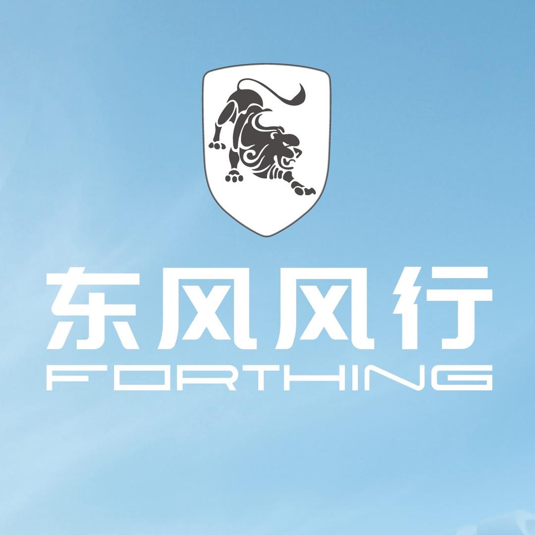 东风风行官方甄选