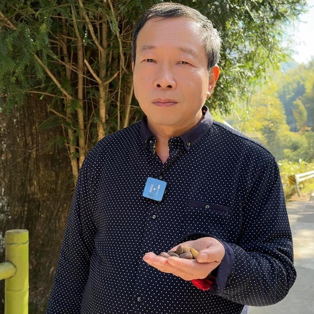 叶老伯香榧