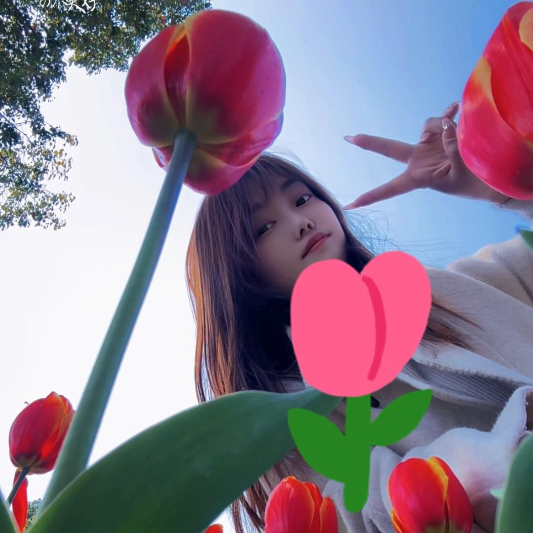 💖青宁儿