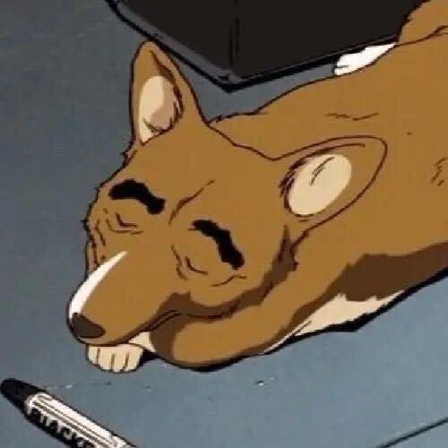 YYYYYY.