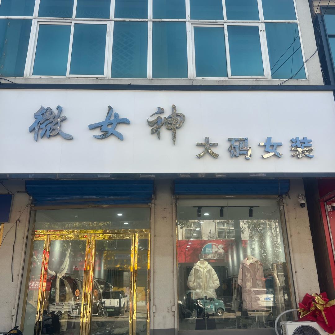 许湾微女神大码女装