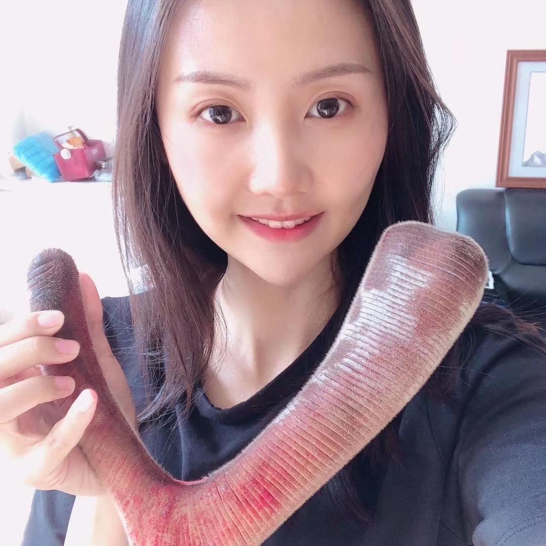 莹莹鹿场·鹿茸🩸