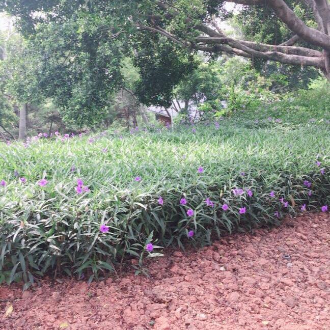 王荣诚