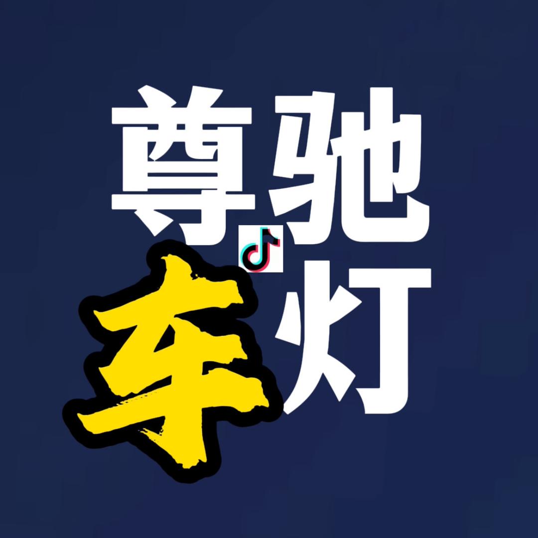 灵山县尊驰车灯店