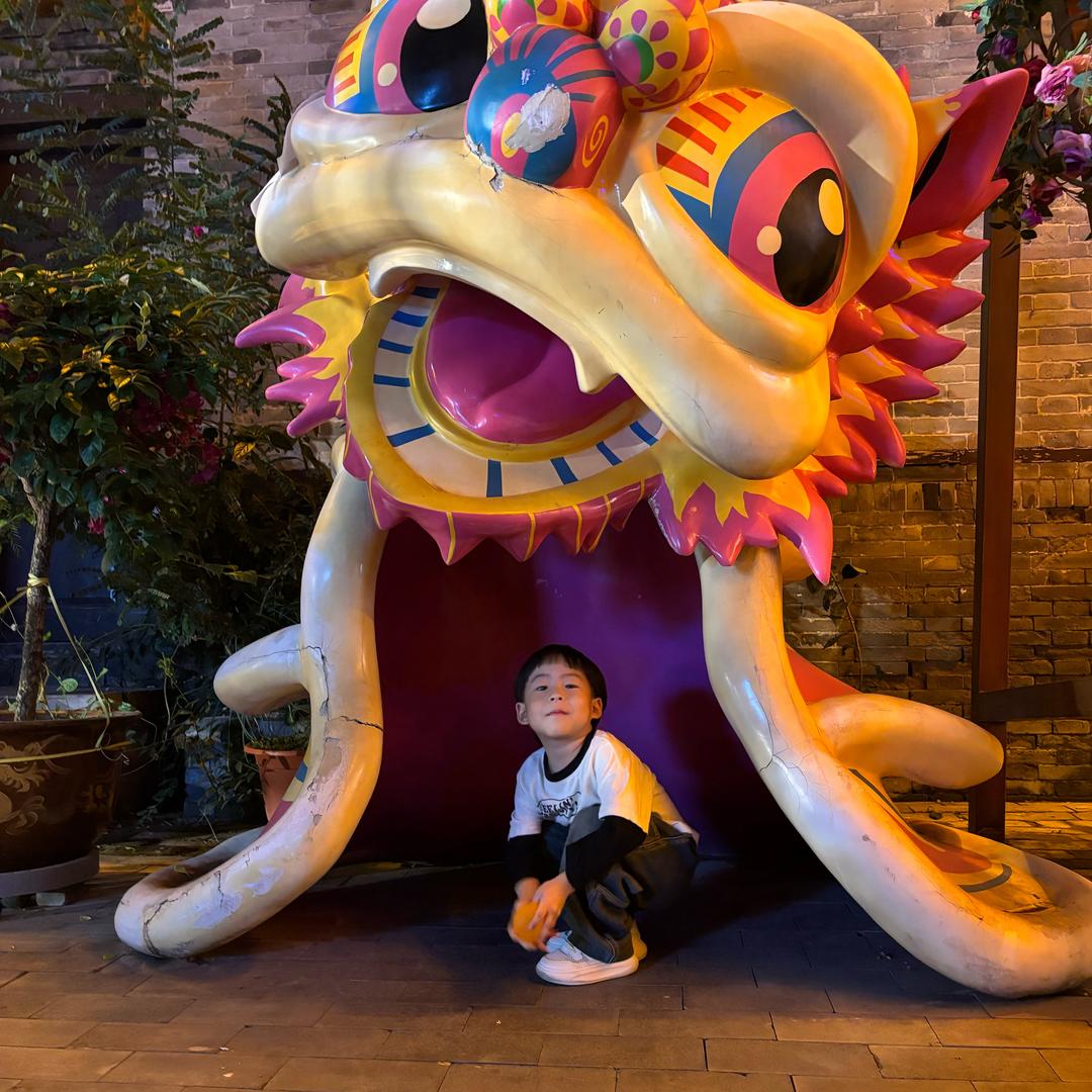 🌙✨清梦压星河