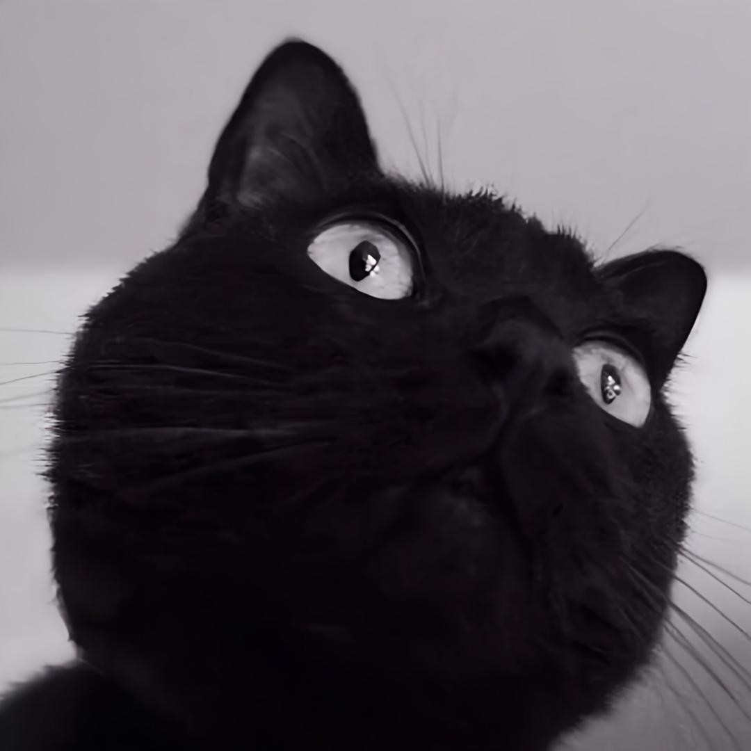 🖤¹⁰ 鹿鹿🦌.（9237）