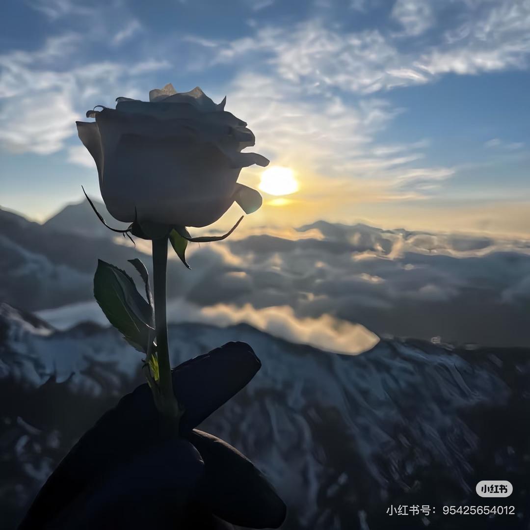 送你一朵小红花