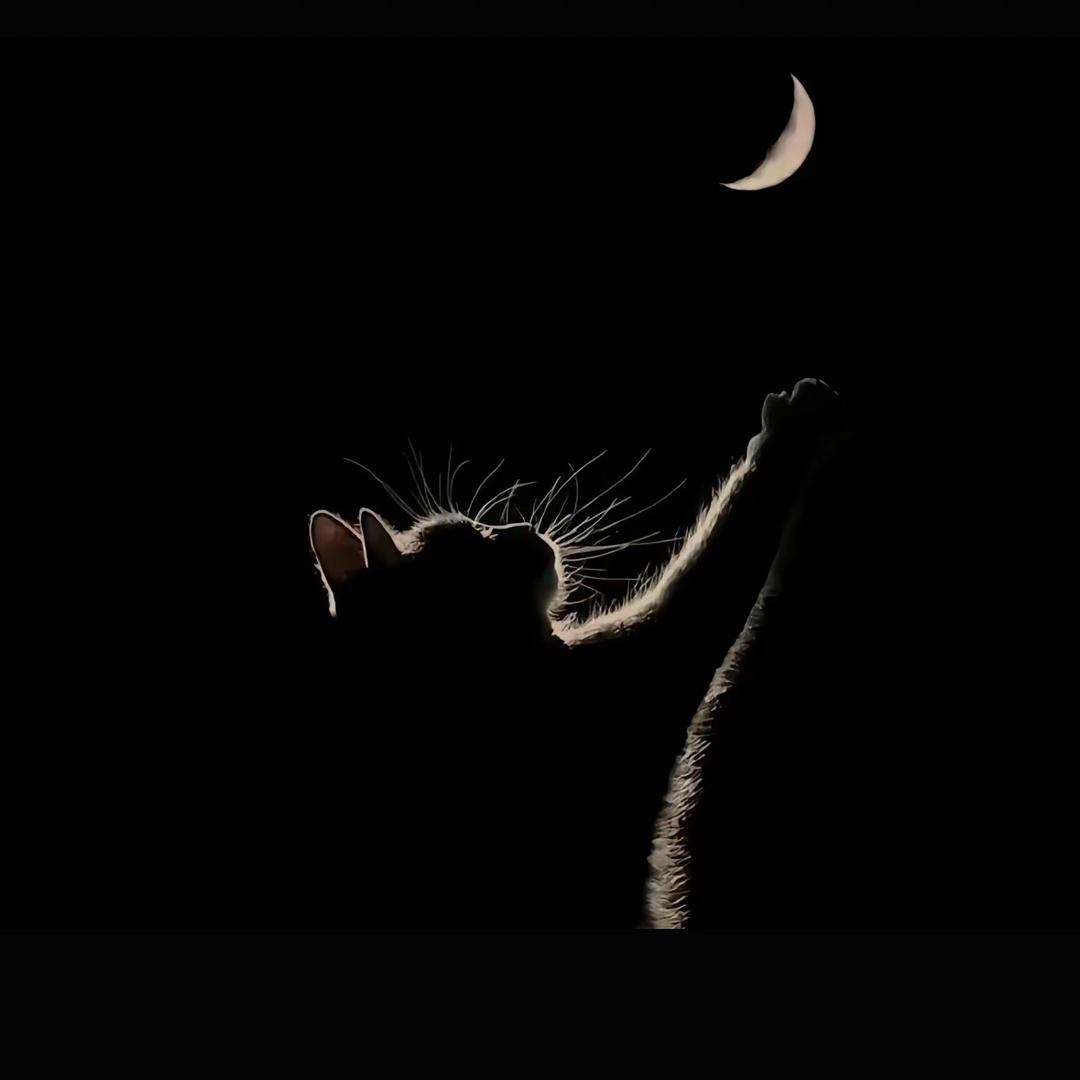 ^_^落ঞᩚ幕꧔ꦿ᭄