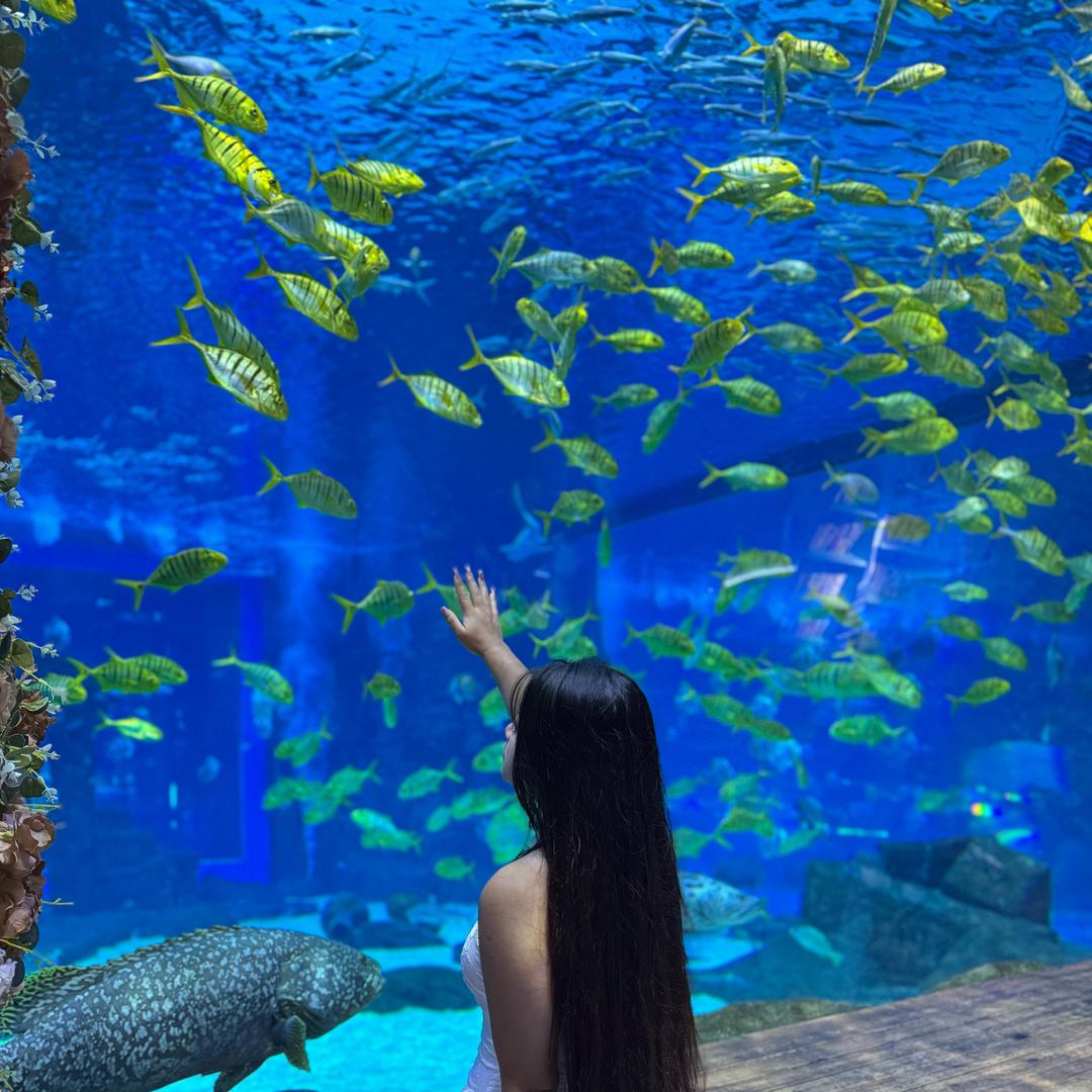 小鱼不当鱼🐟