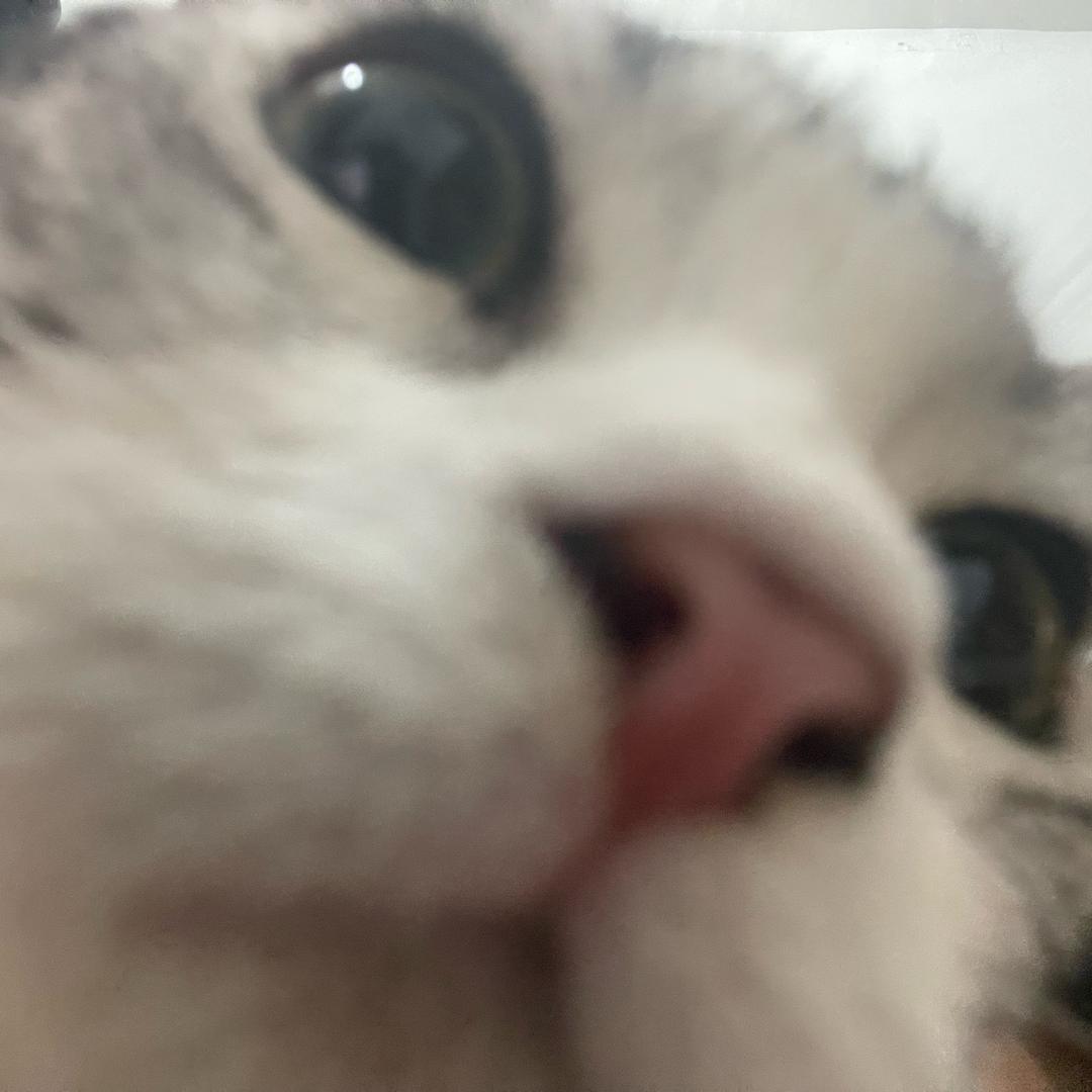 阿权呀