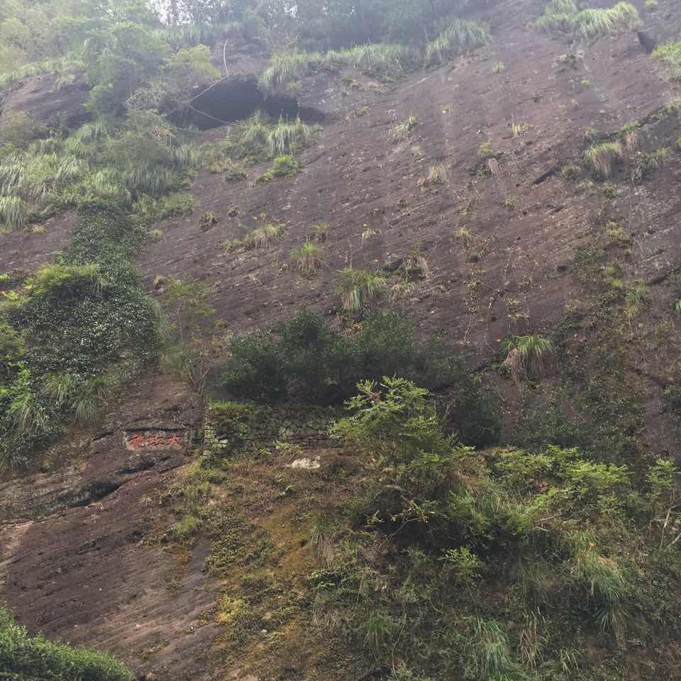 涂说人生