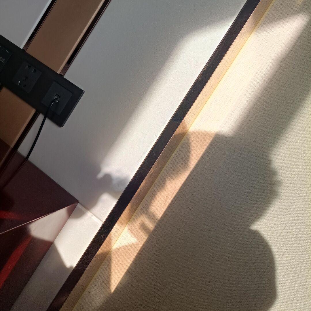 海棠花.