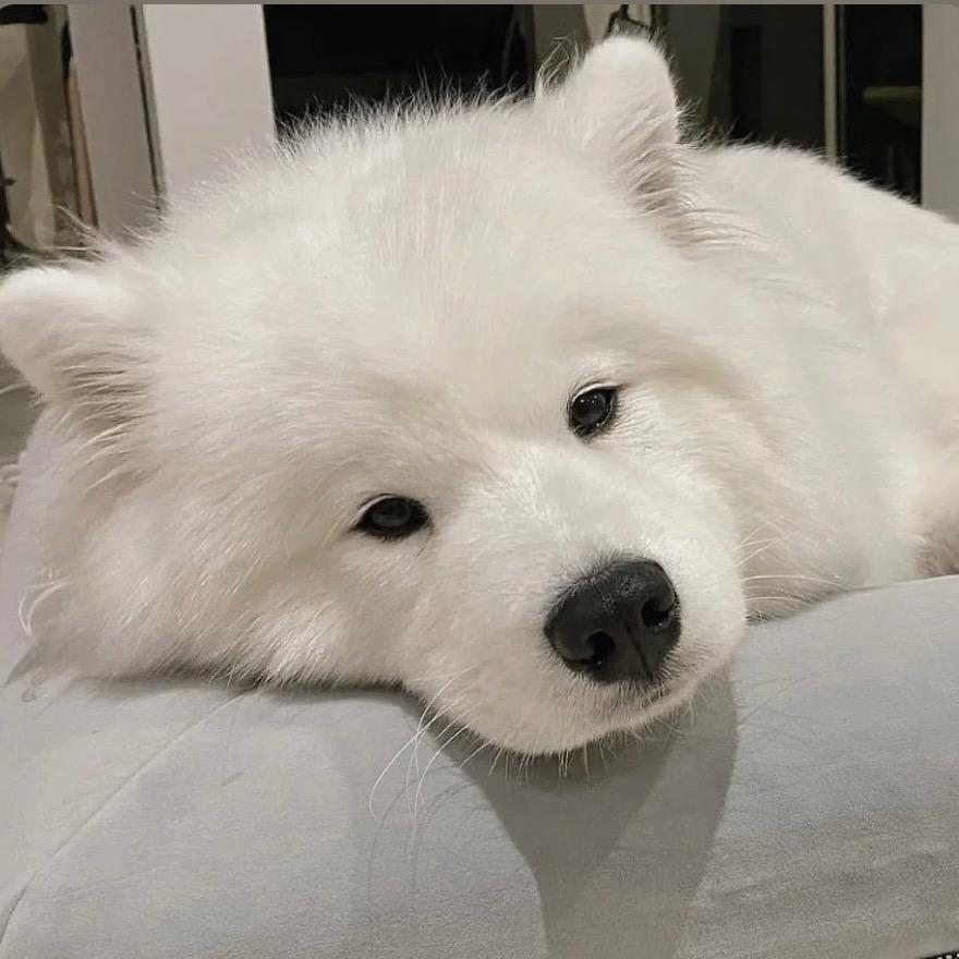 小小小小上哥