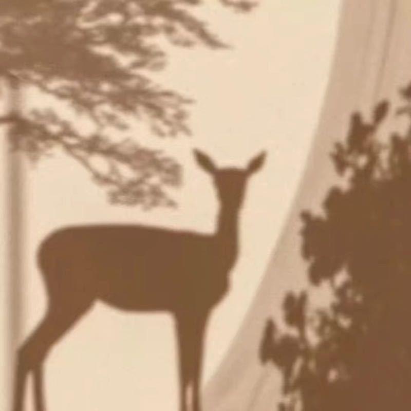 梅子