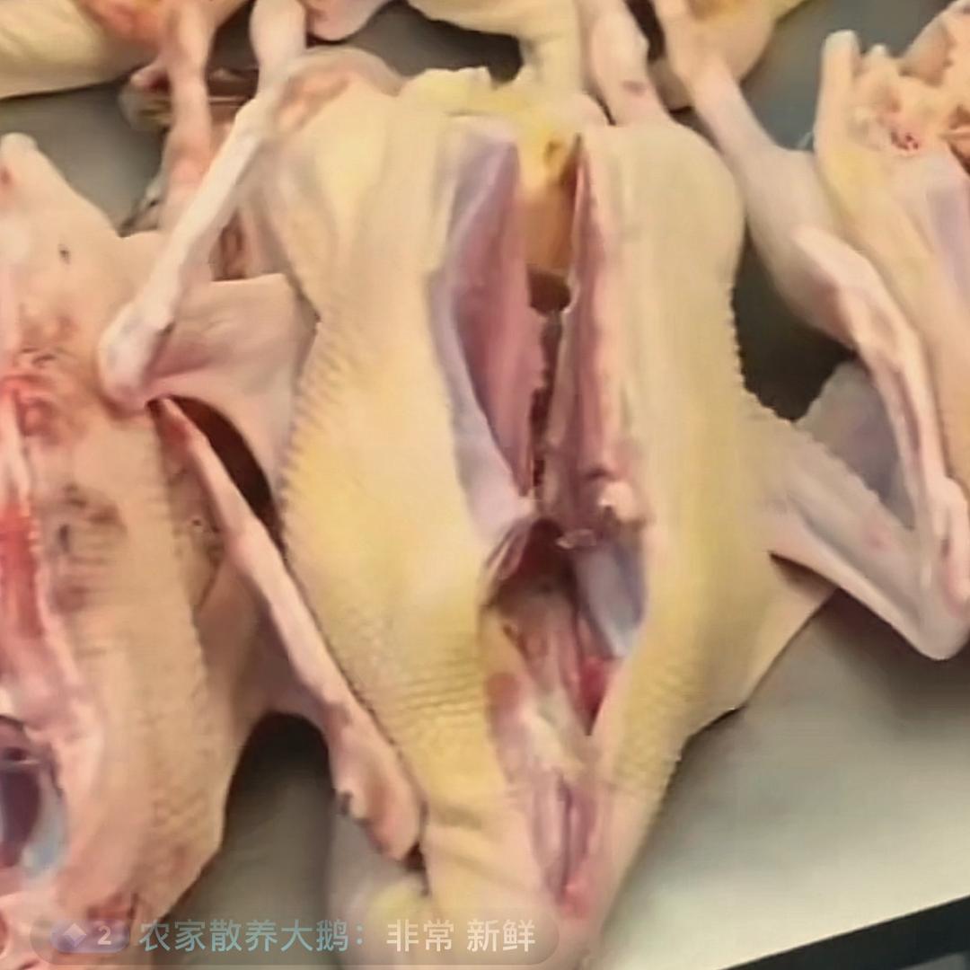 曹哥