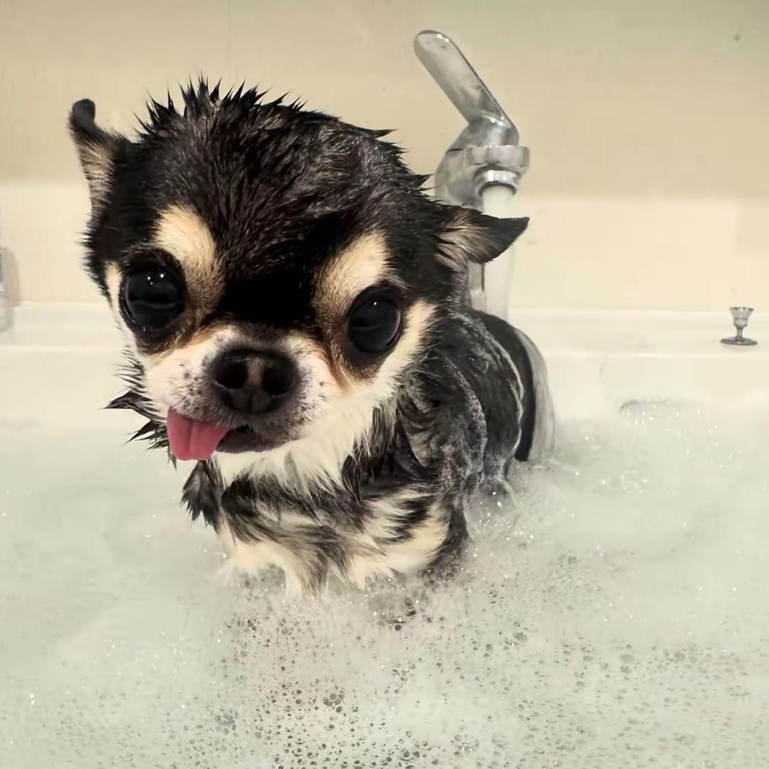 氢
