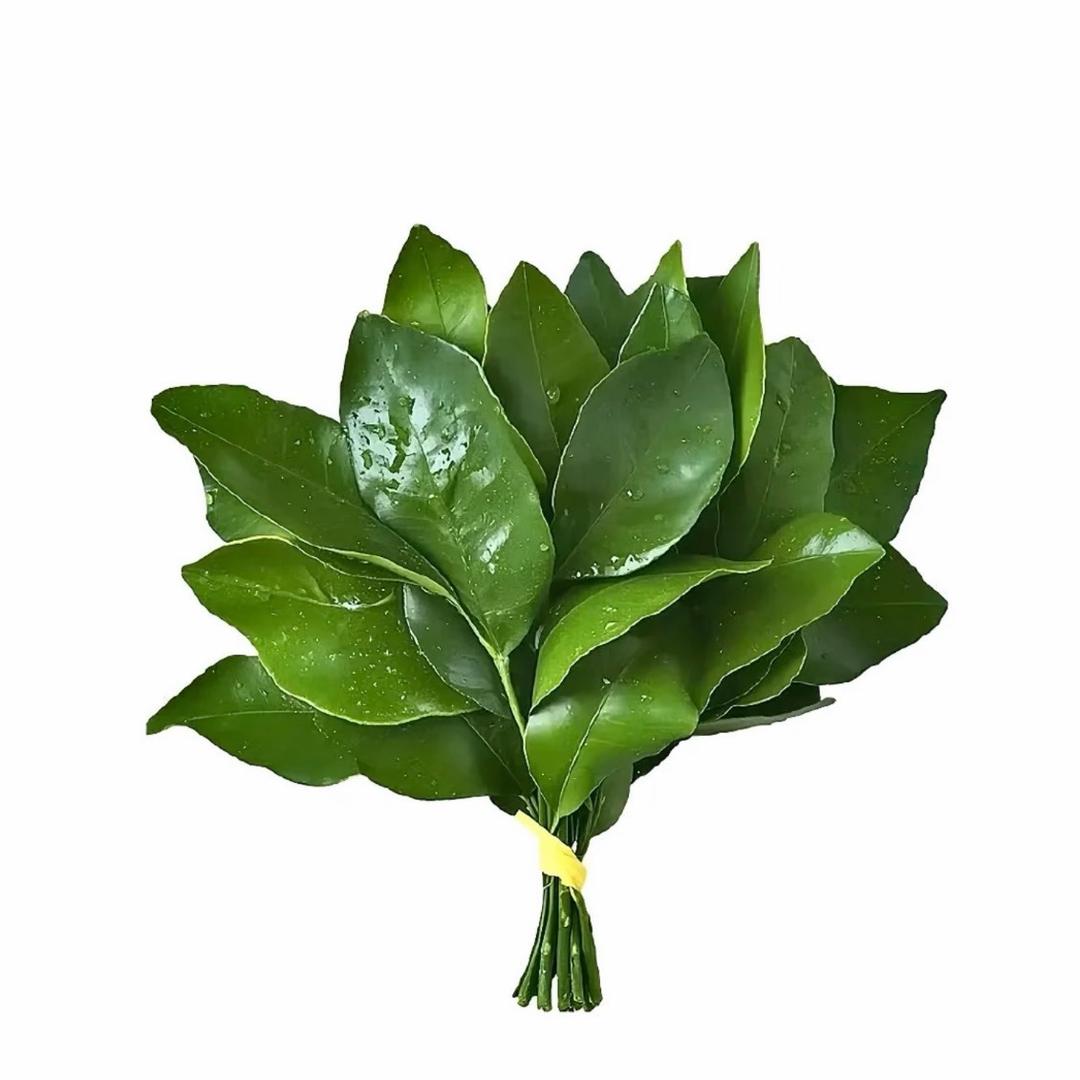 香菜皮蛋拌折耳根