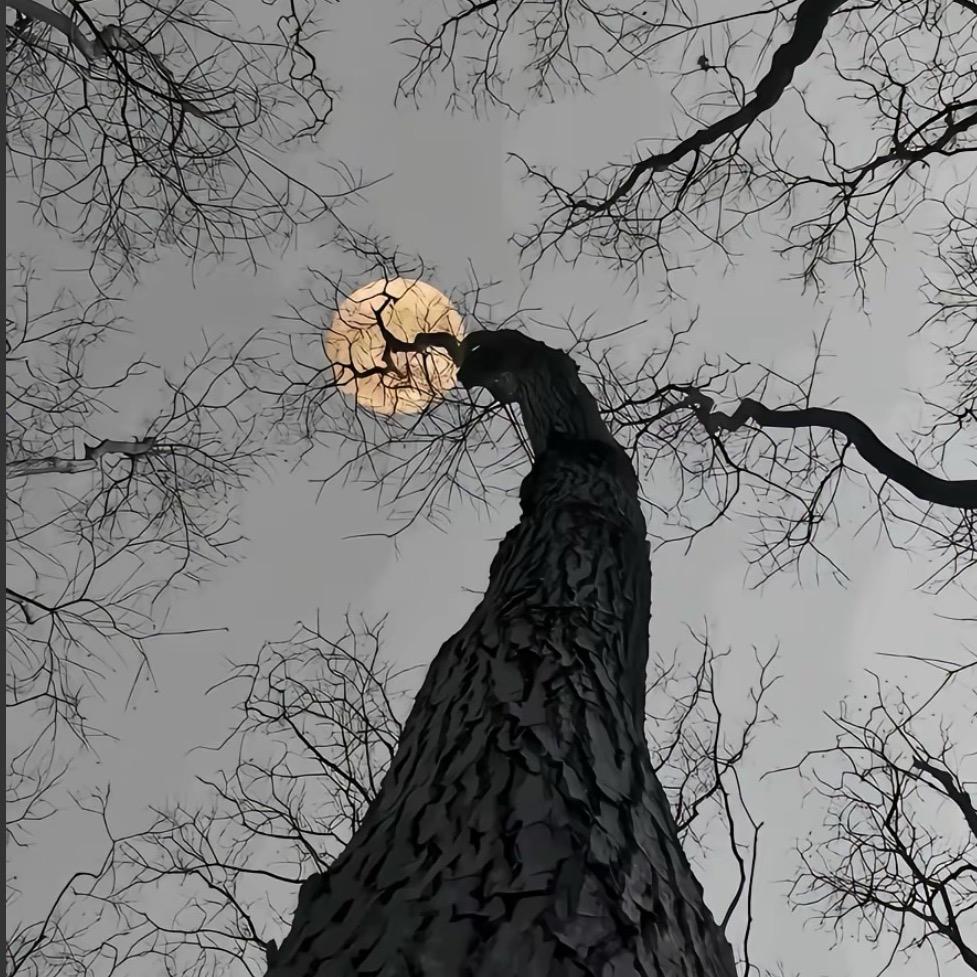 意憨.