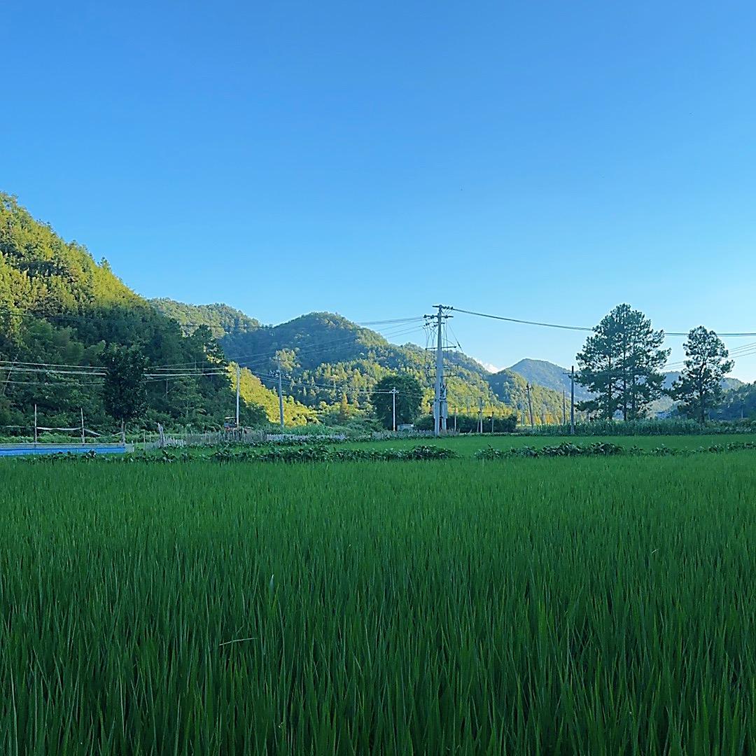 清醒